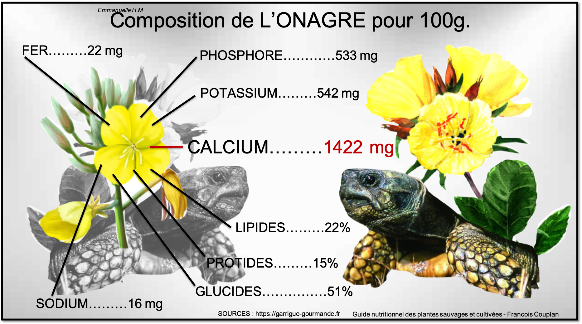 Composition onagre