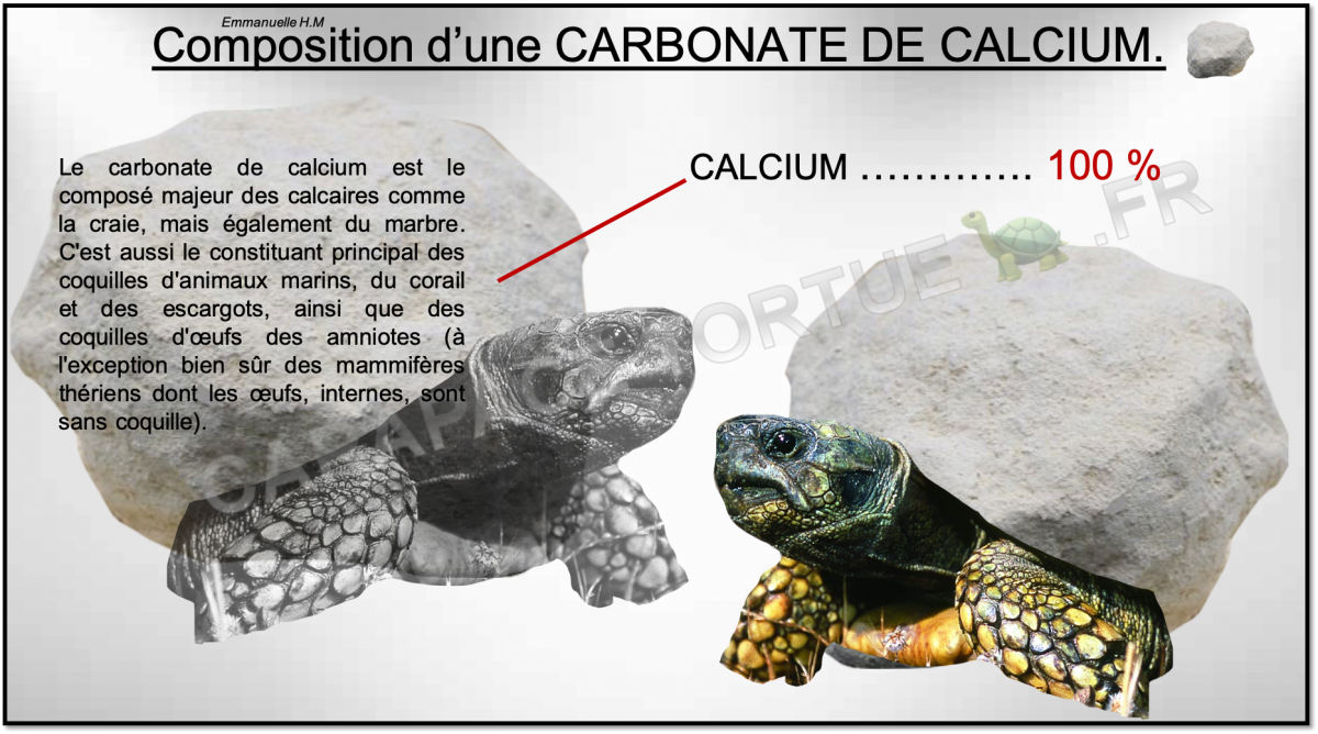 Composition pierre carbonate de calcium