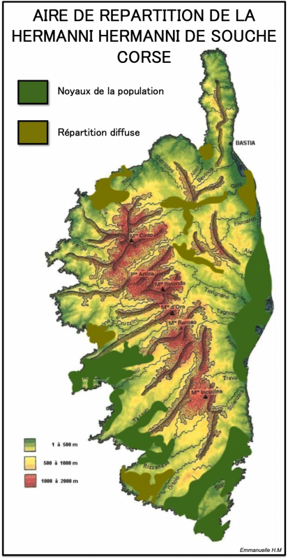 AIRE REPARTITION TESTUDO HH CORSE