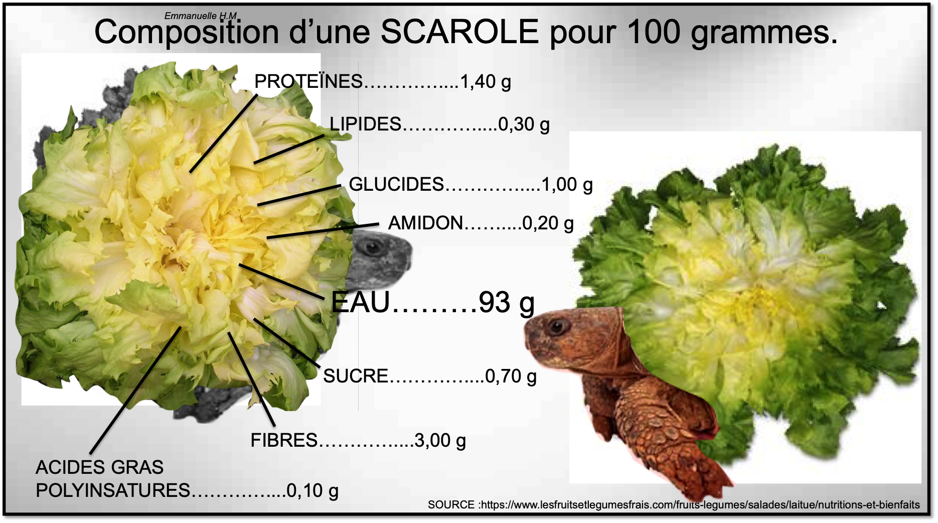 Scarole